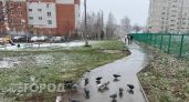 Впервые за 150 лет: синоптики раскрыли, в каких регионах России выпадет снег уже в сентябре