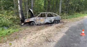 В Навашинском районе легковушка влетела в дерево и загорелась