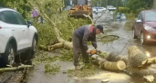 Смерч в Автозаводском районе повалил четыре дерева