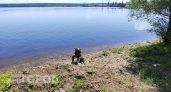 Ока или Волга: где в Нижегородской области можно легально рыбачить в августе 2026 года