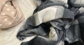Старые покрывала прятала в шкафу годами, а зря: теперь превращаю их в полезные вещи для дома без лишних расходов