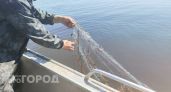 До 5 лет тюрьмы грозит жителю Павловского района из-за нескольких рыб, пойманных незаконным способом 