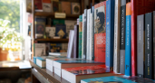 Нижегородцам рассказали, как распознать книгу с ИИ по автору и издательству