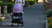 Власти Нижегородской области ограничат срок действия земельного сертификата для многодетных семей 