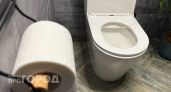 Туалетную бумагу больше не покупаю: новый способ гигиены оказался мягче, удобнее и экономичнее рулонов
