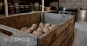 Мыть или не мыть картошку перед хранением: запомните раз и навсегда 