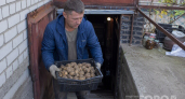 Ссыпаю картофель в ящик и добавляю 4 листа: зимой не гниёт, не плесневеет и не прорастает