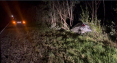 42-летняя водитель Ford Fiesta пострадала в аварии с лосем в Краснобаковском районе