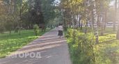 Дневное тепло в Нижнем Новгороде сменится прохладной ночью в это воскресенье