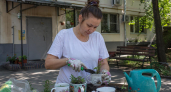  Пластиковые цветочные горшки теряют популярность: что выбирают для растений вместо них