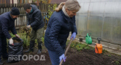 Забудьте про весеннюю борьбу с грибком: эта осенняя обработка теплицы гарантирует чистый урожай томатов