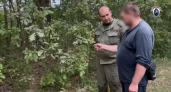 Жителя Дзержинска отправят в тюрьму на 20 лет за жестокое убийство женщины в лесополосе