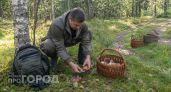 Не только белые и лисички: эти неприметные грибы зря обходят стороной в лесу