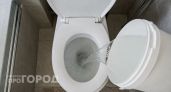 Рюмку в унитаз на ночь — и утром выгребная яма чиста: выливаем всего раз в месяц и забываем об откачке на 15 лет