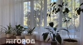 Вытягивают силы и здоровье: три растения-вампира, которые лучше выбросить из дома
