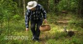 Этот гриб многие обходят стороной — а зря: плотный, мясистый и отлично жарится