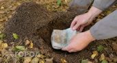В сентябре закапываю на огороде тряпку с керосином: вот зачем так делаю — пользы на миллион, а траты минимальные