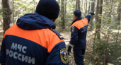 Нижегородская область вошла в тройку регионов по числу пропавших за лето детей