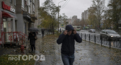 Успейте спасти грядки до прихода холодов: синоптики назвали точную дату заморозков и список нужных мер