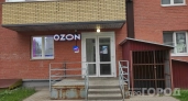Забудьте про капитальную летнюю кухню: модульный гаджет с Ozon превращает любой уголок дачи в место для заготовок