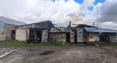 Четыре коровы погибли при ночном пожаре на животноводческой ферме в Нижегородской области
