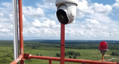 Количество камер в лесах Нижегородской области увеличено до 205   