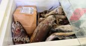 Вскрыли дешевую красную рыбу из "Светофора" дома: вот чем отличается от дорогой