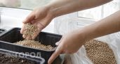 Кота не держу, а наполнитель из Fix Price беру тележками: 10 гениальных идей для дома и дачи