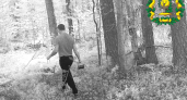 Жителей Нижегородской области начали штрафовать за походы в лес за ягодами