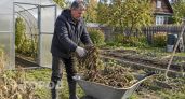 Никогда не делайте этого с теплицей осенью: 7 грубых ошибок дачников