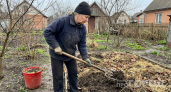 Больше не таскаю навоз тачками: 200 г на грядку — и земля весной мягче пуховой перины