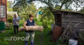 Сделайте это с коврами в сентябре: простая хитрость вернет им яркость и избавит от запахов без химчистки