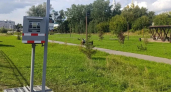 Мобильные камеры начали ловить водителей на дорогах Нижегородской области за ремни и телефоны
