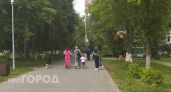 Бизнесмену отказали в стройке спорткомплекса ради сохранения сквера на Автозаводе