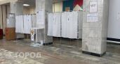 Более 1,3 миллиона нижегородцев пришли на выборы к 20 сентября 