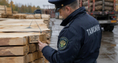 Нижегородские таможенники пресекли вывоз в Армению пиломатериалов на 7 млн рублей