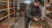 Никакой магии, только физика: этот способ хранения овощей в погребе спасет урожай от гниения до самой весны