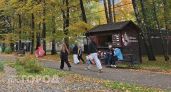 Зальет золотым дождем: четырем знакам Василиса Володина пророчит бриллиантовую полосу с 23 сентября