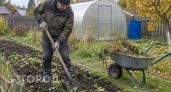 Уберите ботву за 5 дней или рискуете заразить почву: делюсь простым способом очистки грядок без лишних хлопот