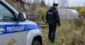 Под Навашино на участке местного жителя нашли наркоплантацию и 629 граммов вещества