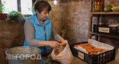Хватит выбрасывать гнилую морковь: пара простых манипуляций при упаковке позволит овощам долежать до самой весны