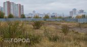 В историческом центре Нижнего Новгорода строительные заборы замаскируют под дерево 