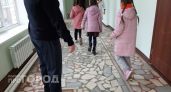 В Нижегородской области из-за вспышки ОРВИ закрыли школу и 3 детсада