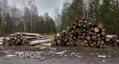 Нижегородское предприятие заставили платить более 130 миллионов рублей за рубку леса на севере страны