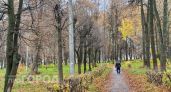 Нижегородцев ожидает пасмурный и дождливый понедельник