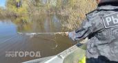 Штрафы за незаконную ловлю раков выросли почти в 15 раз 