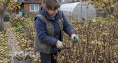 Не спешите резать ветки в сентябре: когда брать в руки секатор осенью - точные сроки обрезки деревьев и кустов