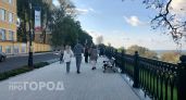 Нижегородская область заняла второе место в Поволжье по уровню доходов жителей