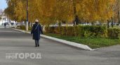Нижегородка отдавала курьерам миллионы в черных пакетах по кодовому слову "мама"
