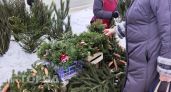 Не покупайте искусственную ель: это решение выберут все на Новый год Козы